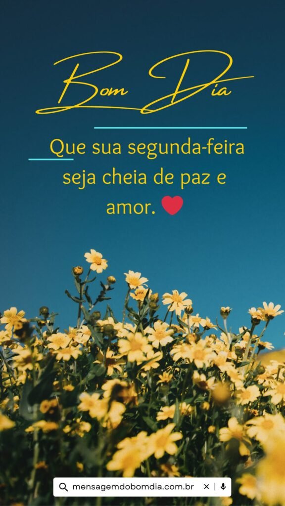 reflexão bom dia segunda feira✶
