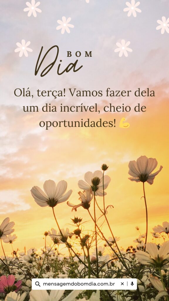 boa terça-feira engraçada